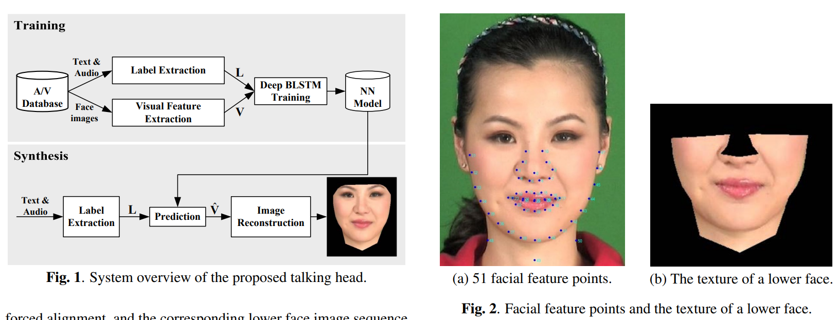 BLSTM Training for Talking Heads, System overview